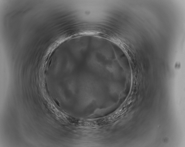 X0000099420337200805091248