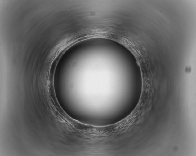 X0000099420338200805091248