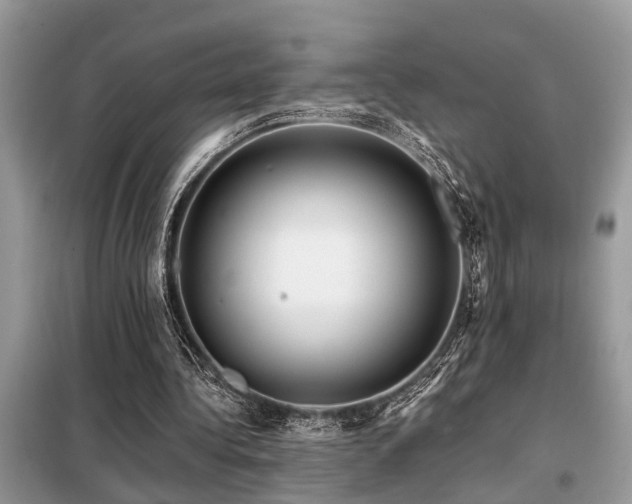 X0000099420340200805091248