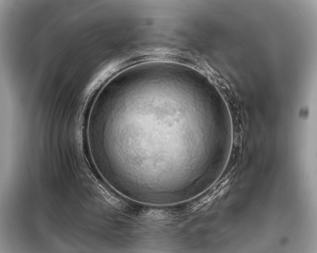 X0000099420341200805091248