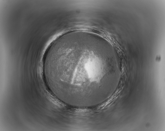 X0000099420342200805091248