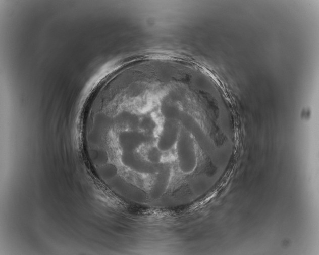 X0000099420343200805091248
