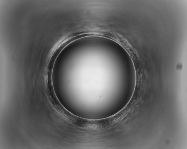 X0000099420344200805091248