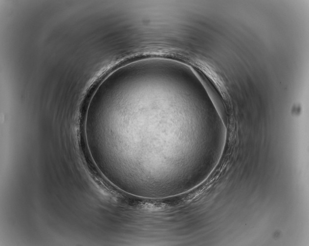 X0000099420346200805091248