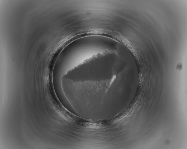 X0000099420347200805091248