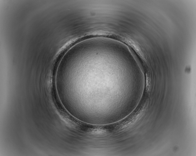X0000099420348200805091248