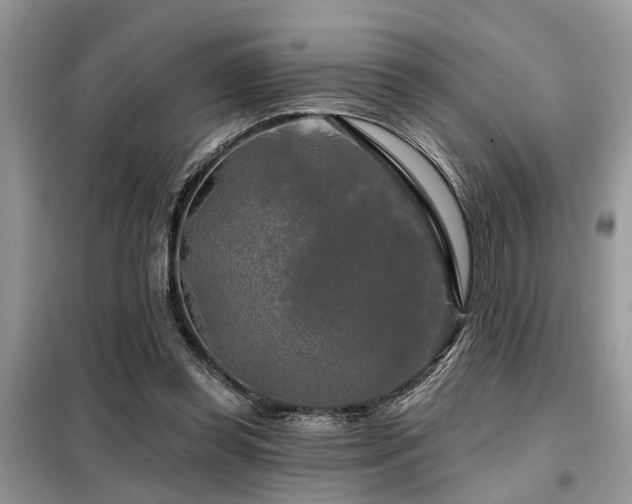 X0000099420349200805091248