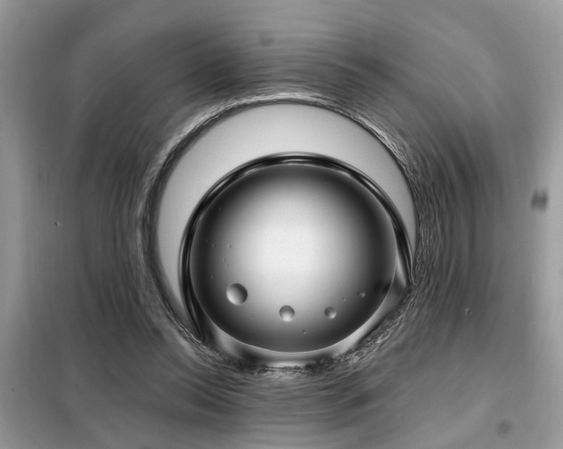 X0000099420350200805091248