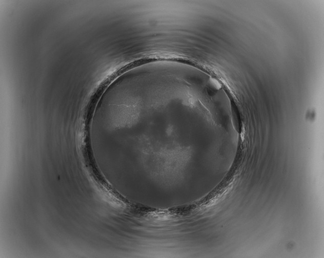 X0000099420351200805091248