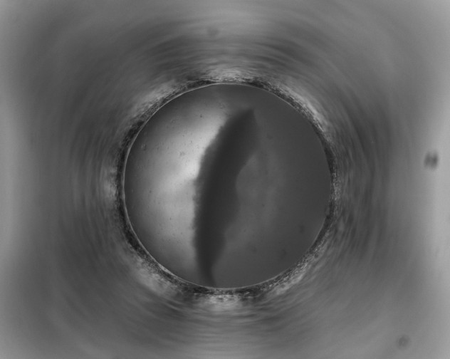 X0000099420353200805091248