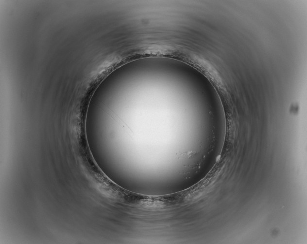 X0000099420354200805091248