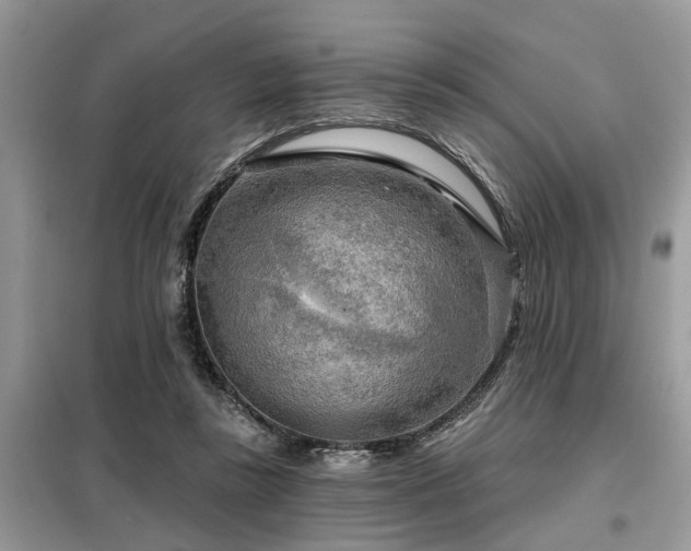 X0000099420355200805091248