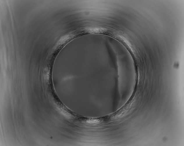 X0000099420357200805091248