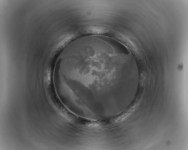 X0000099420358200805091248