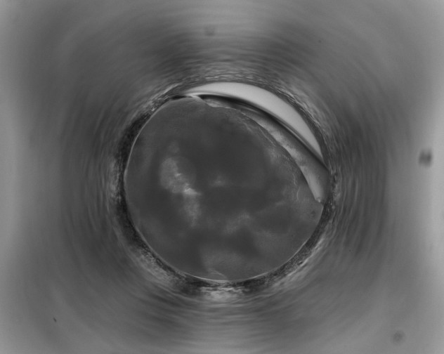 X0000099420359200805091248