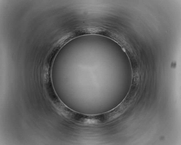 X0000099420360200805091248