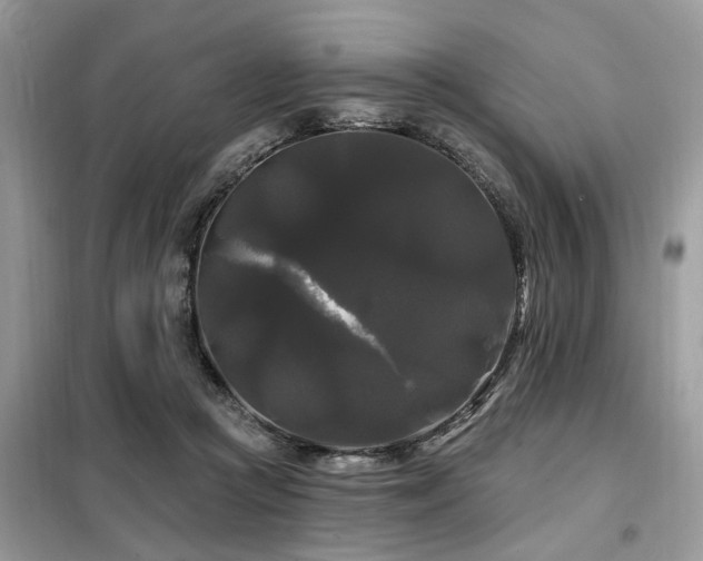 X0000099420361200805091248