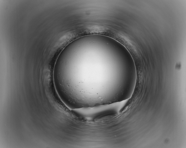 X0000099420362200805091248