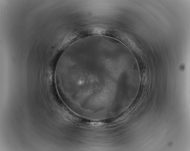 X0000099420363200805091248