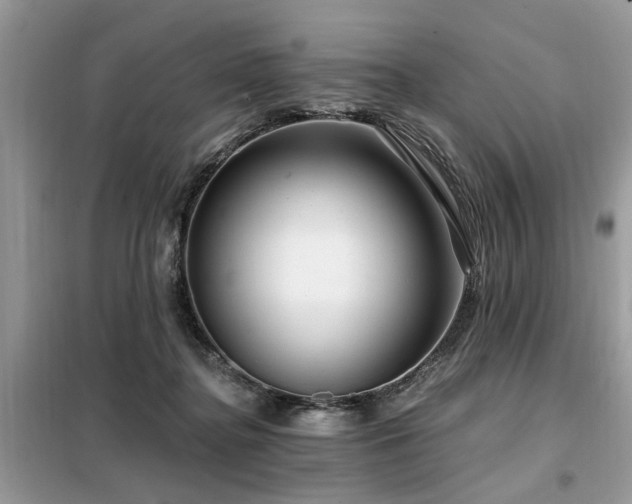 X0000099420364200805091248