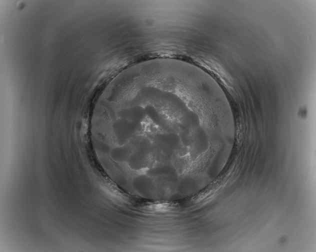 X0000099420365200805091248