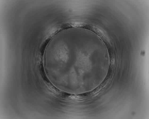 X0000099420367200805091248