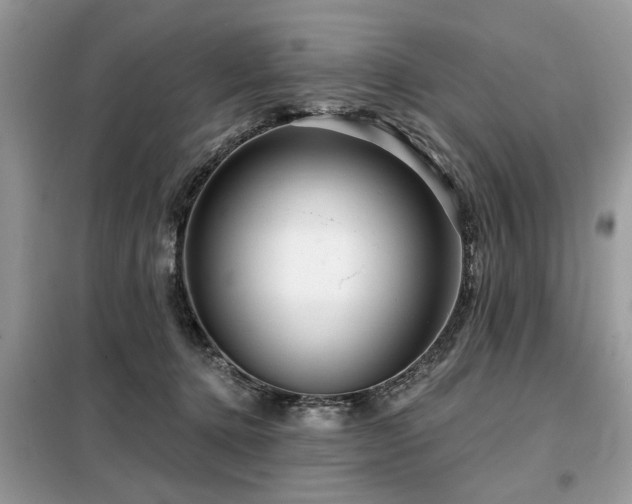 X0000099420368200805091248