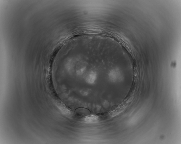 X0000099420369200805091248