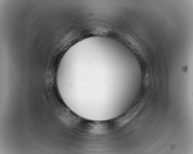 X0000099420370200805091249