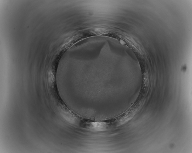 X0000099420371200805091249