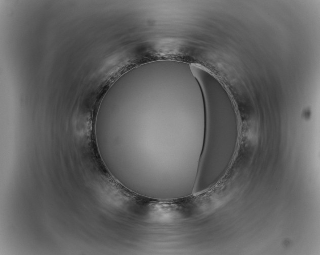 X0000099420372200805091249
