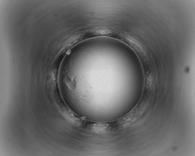 X0000099420373200805091249