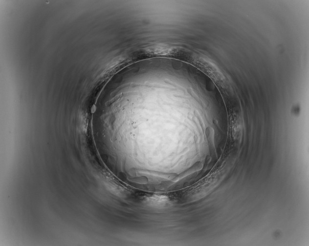 X0000099420374200805091249