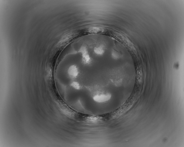 X0000099420375200805091249