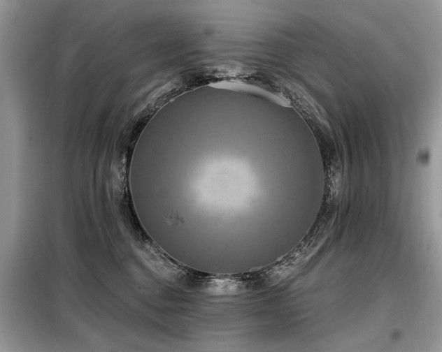 X0000099420376200805091249
