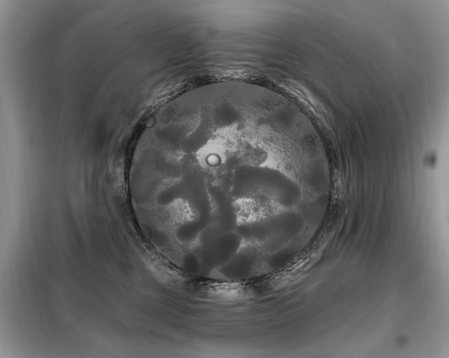 X0000099420377200805091249