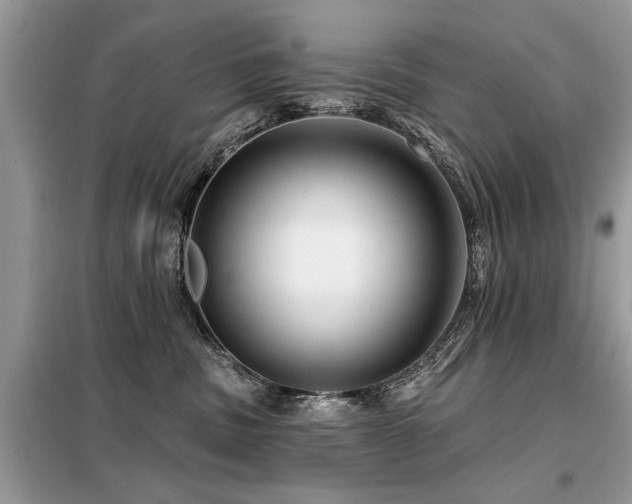 X0000099420379200805091249