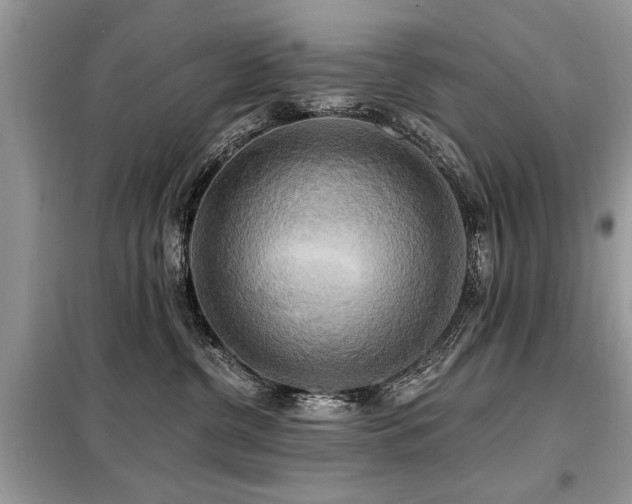 X0000099420380200805091249