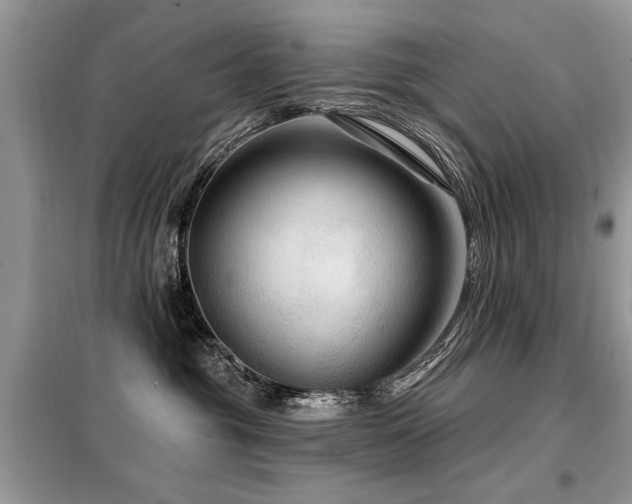 X0000099420381200805091249