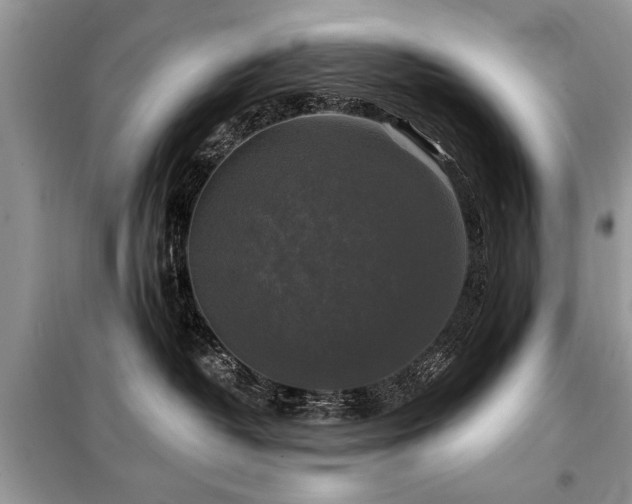 X0000099420382200805091249