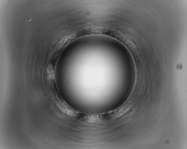 X0000099420384200805091249