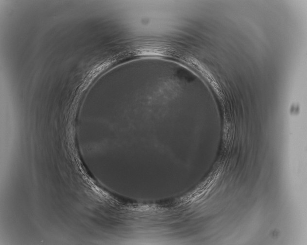 X0000099420385200805091248