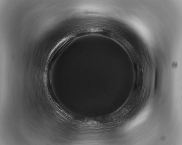 X0000099420387200805091248