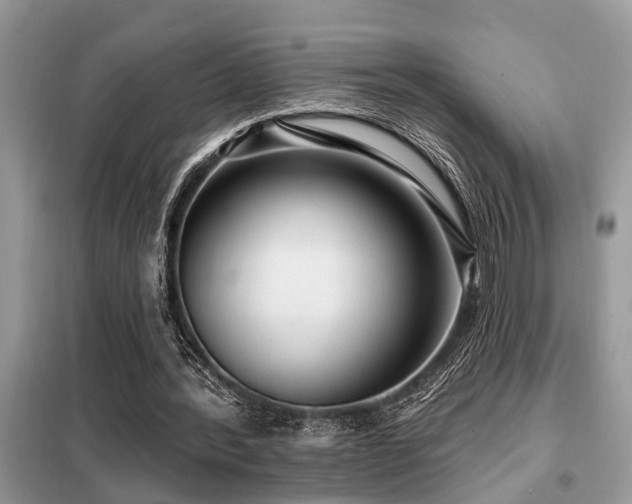 X0000099420388200805091248