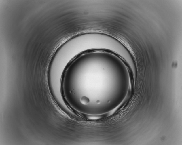 X0000099420389200805091248