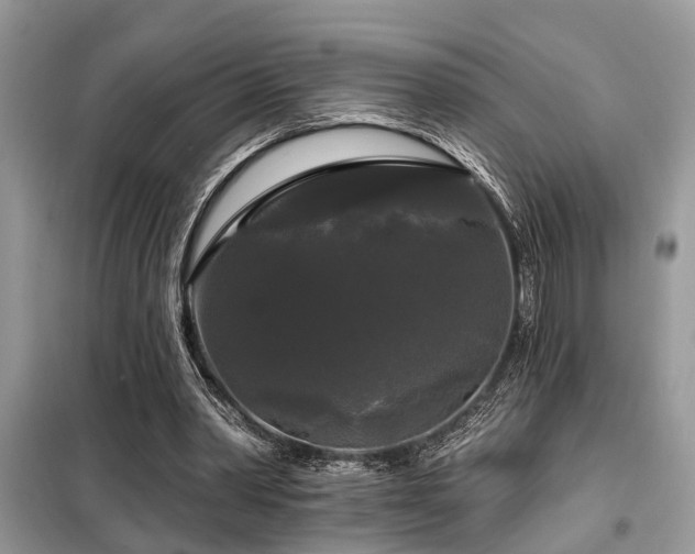 X0000099420390200805091248
