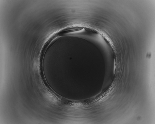 X0000099420391200805091248