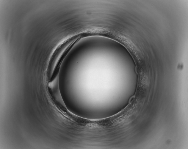 X0000099420392200805091248