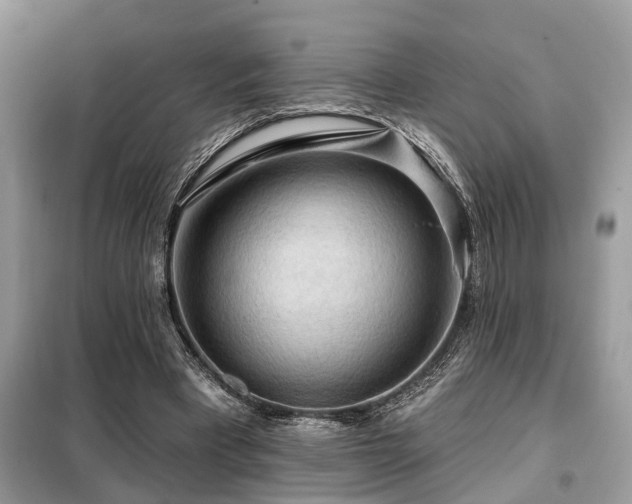 X0000099420393200805091248