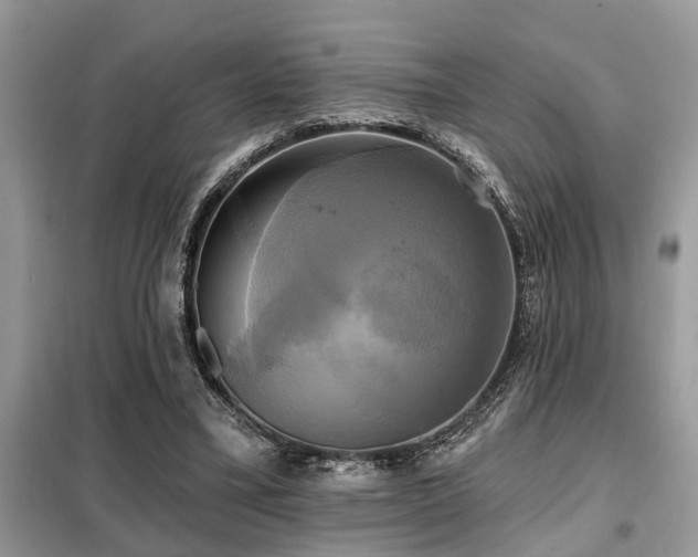 X0000099420395200805091248